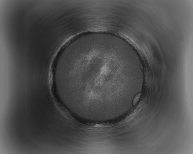 X0000094460584200711081327