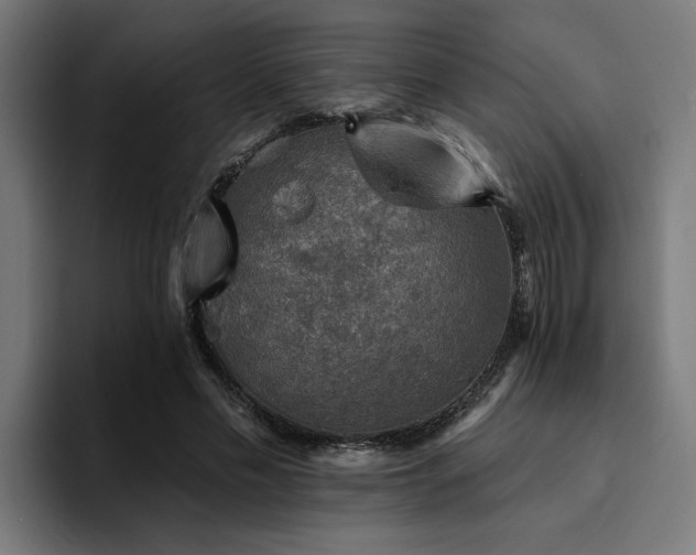 X0000094460589200711081327