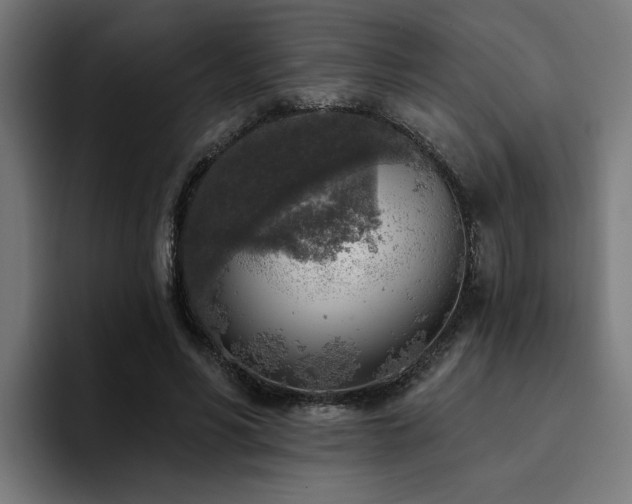 X0000094460590200711081327