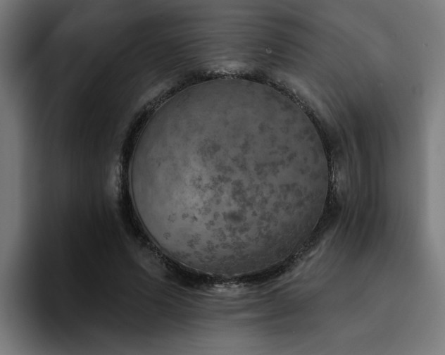 X0000094460591200711081327