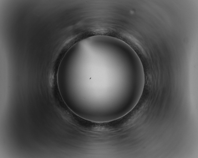 X0000094460596200711081327