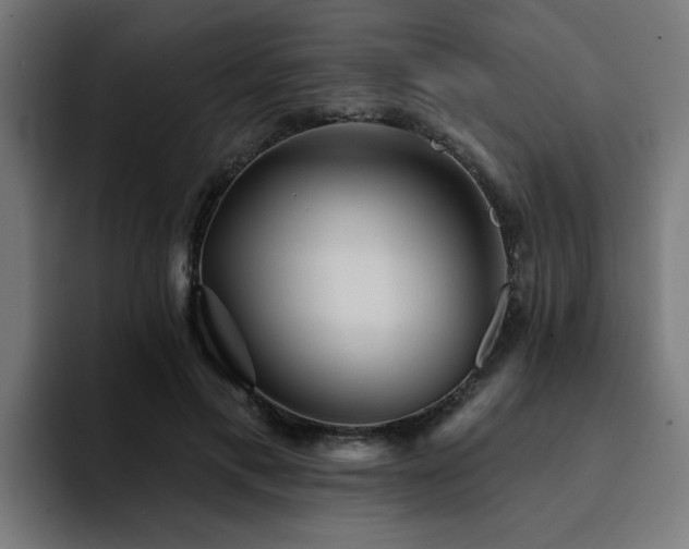 X0000094460597200711081327