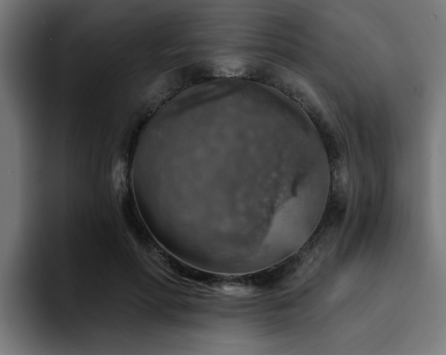 X0000094460598200711081327