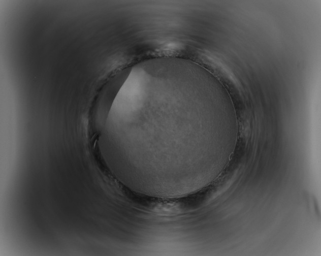 X0000094460599200711081327