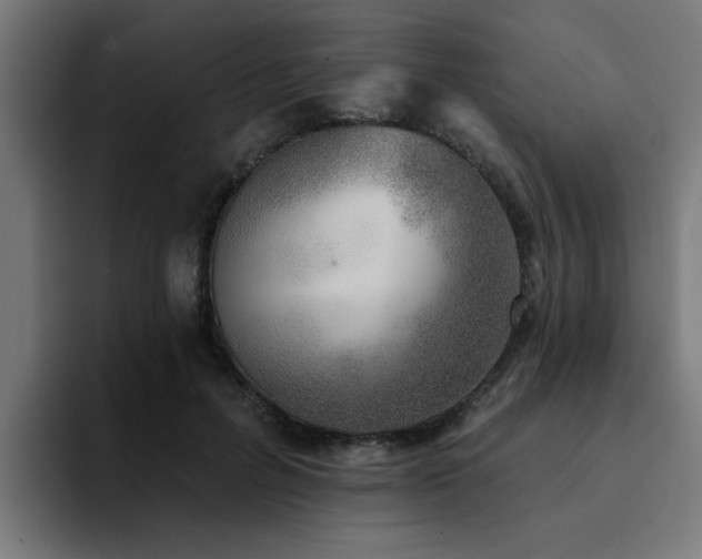 X0000094460600200711081327