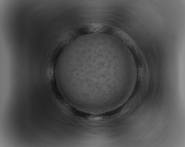 X0000094460602200711081327