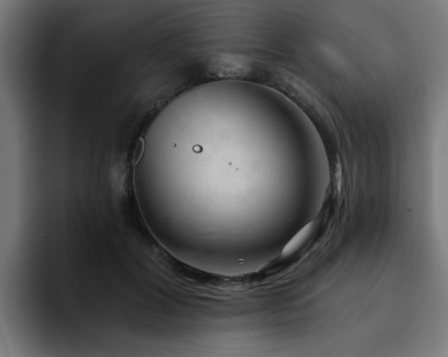 X0000094460604200711081327