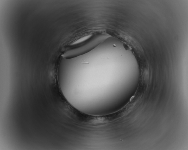 X0000094460609200711081327