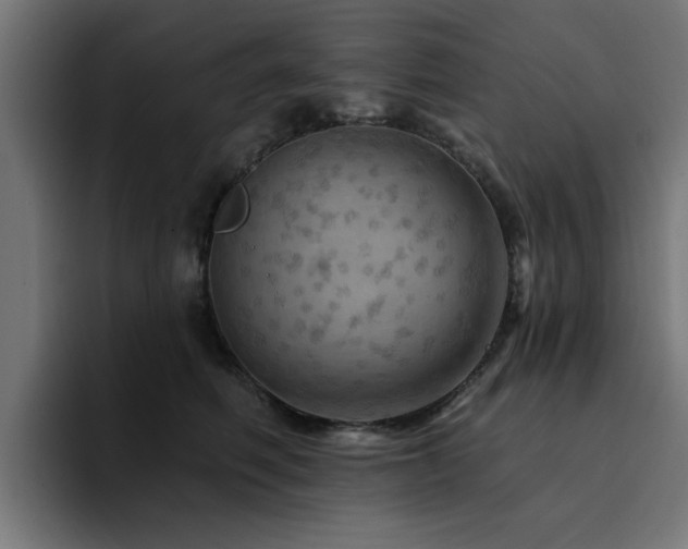 X0000094460614200711081326