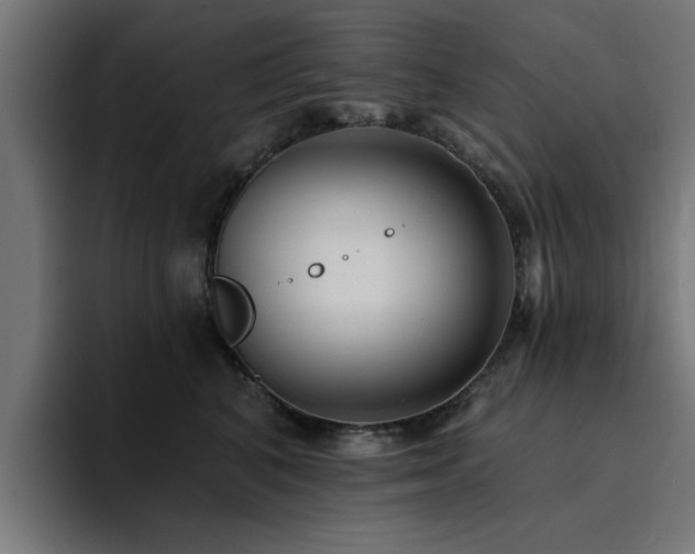 X0000094460616200711081326