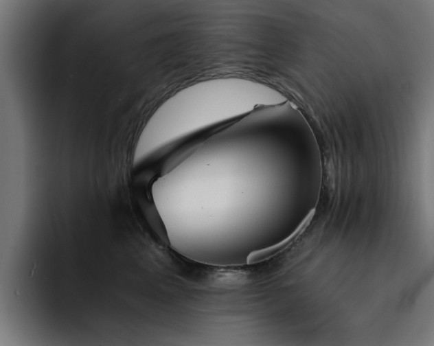 X0000094460617200711081326