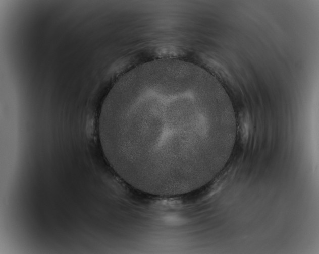 X0000094460619200711081326