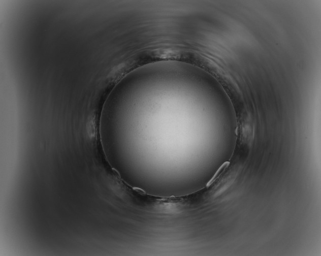 X0000094460620200711081326