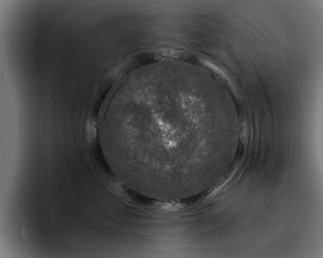 X0000094460621200711081326
