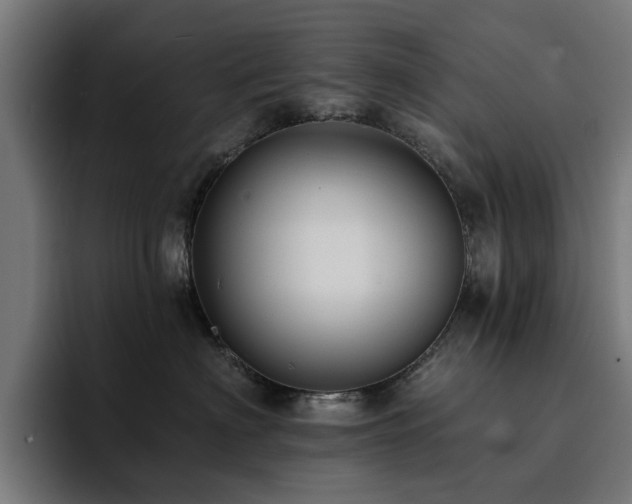 X0000094460622200711081326