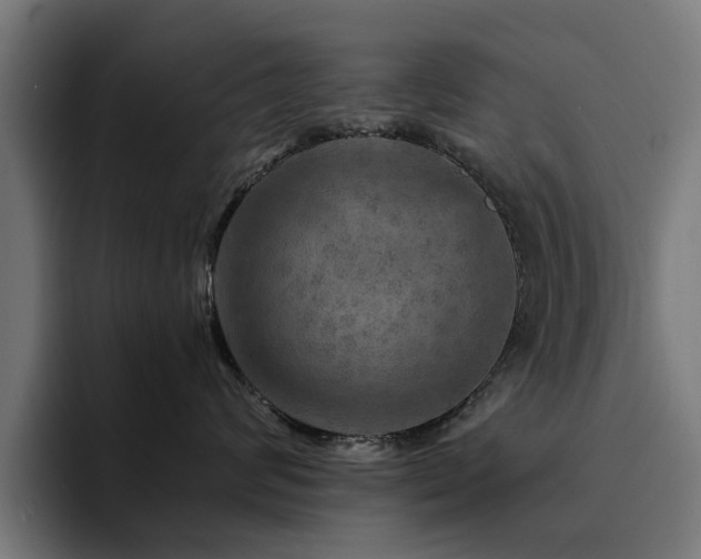 X0000094460624200711081326