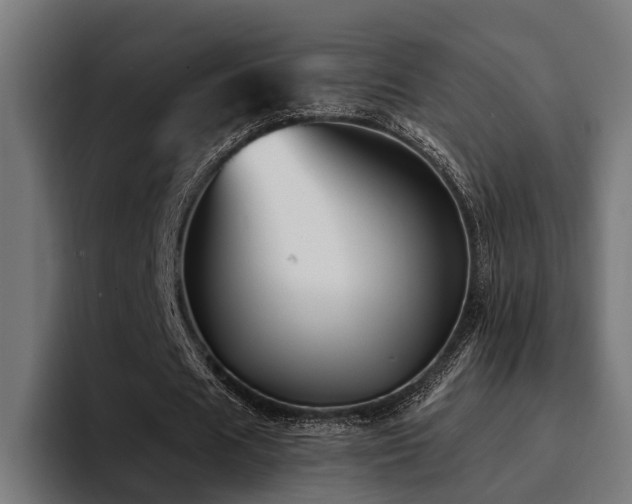 X0000094460625200711081326