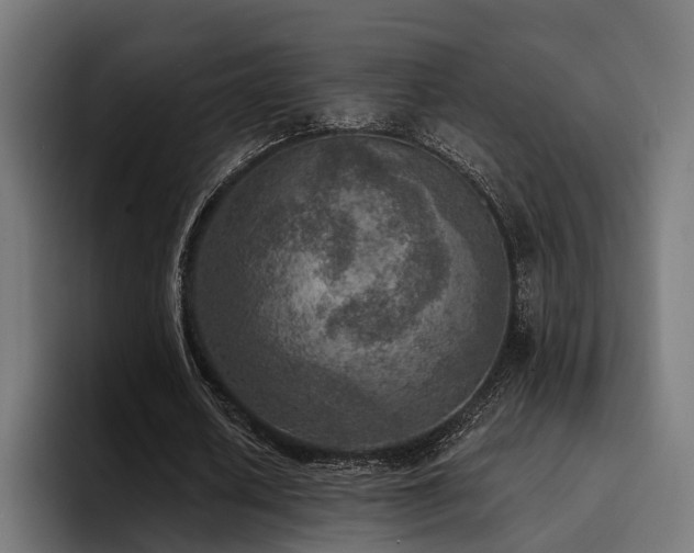 X0000094460626200711081326