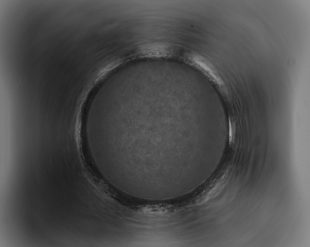 X0000094460627200711081326