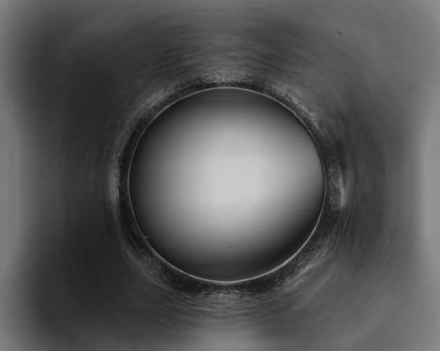X0000094460631200711081326
