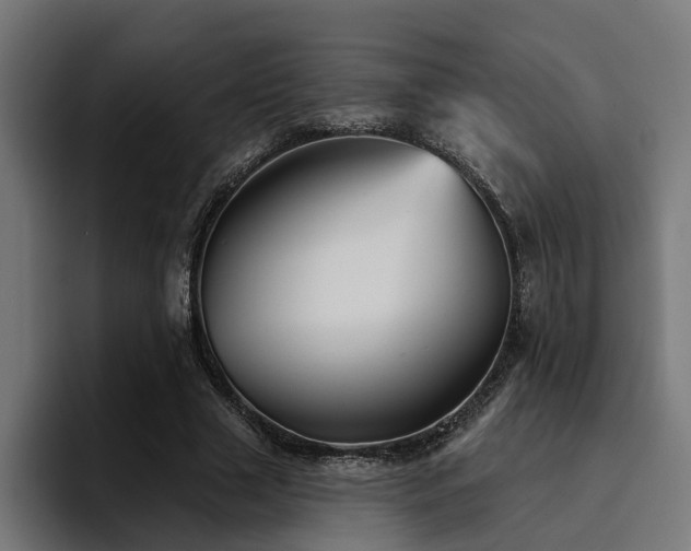 X0000094460633200711081326