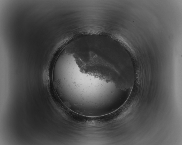 X0000094460634200711081326