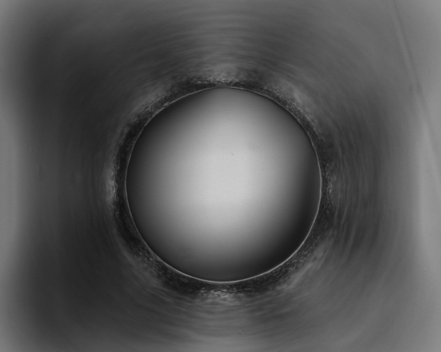 X0000094460635200711081326