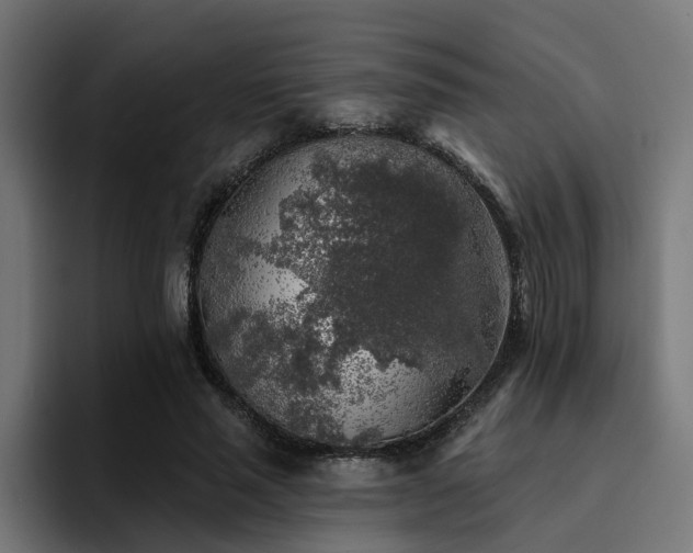 X0000094460637200711081326