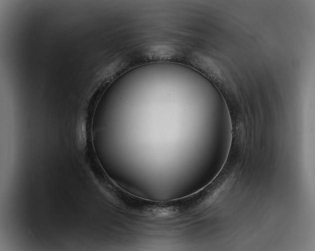 X0000094460638200711081326