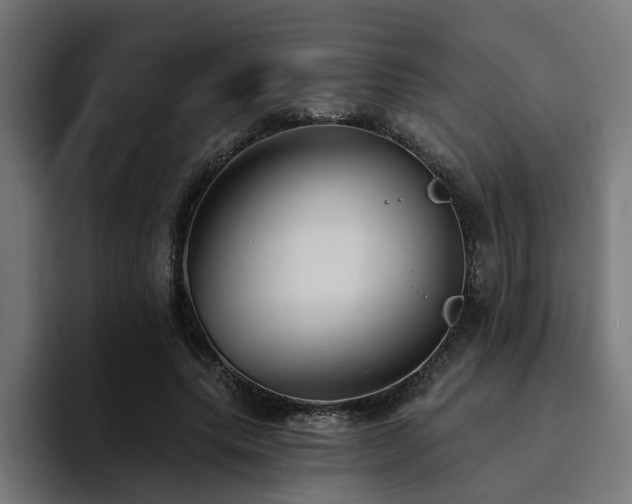 X0000094460639200711081326