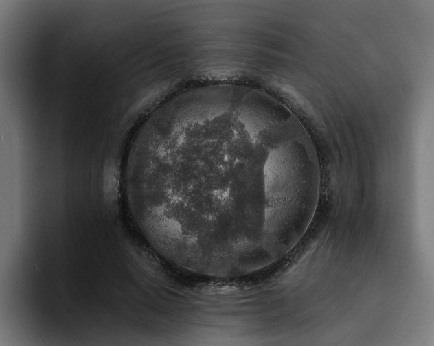 X0000094460640200711081326