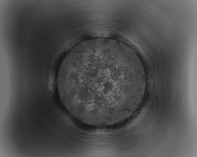 X0000094460641200711081326