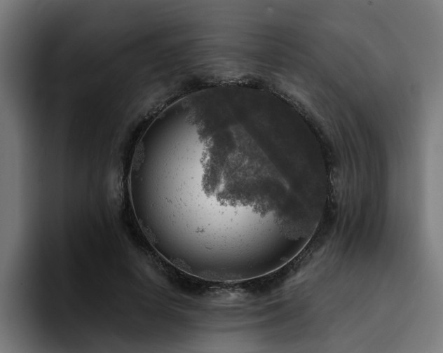 X0000094460642200711081326