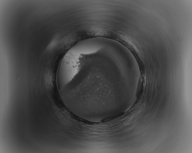 X0000094460643200711081326