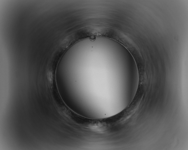 X0000094460646200711081326