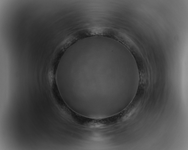 X0000094460648200711081326