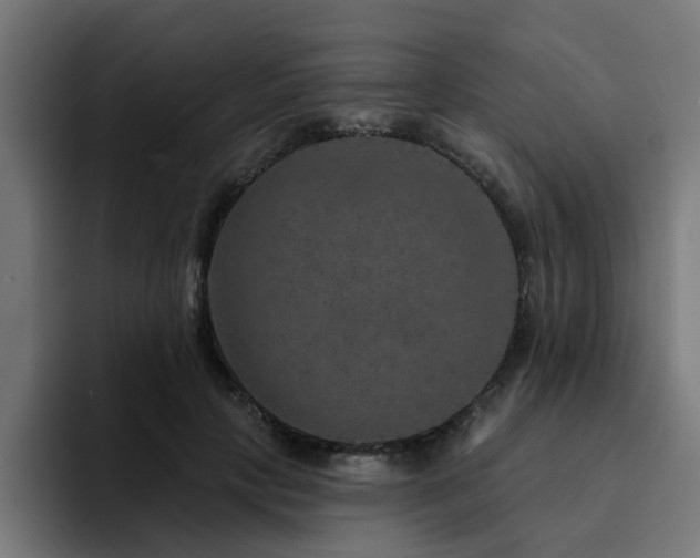 X0000094460649200711081326
