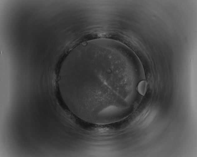 X0000094460650200711081326