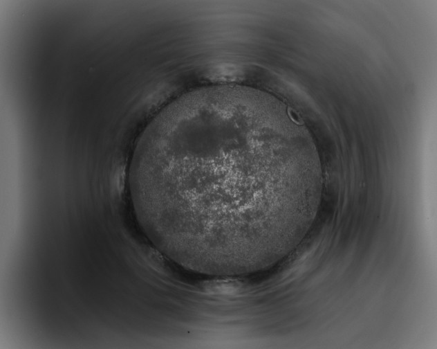 X0000094460652200711081326