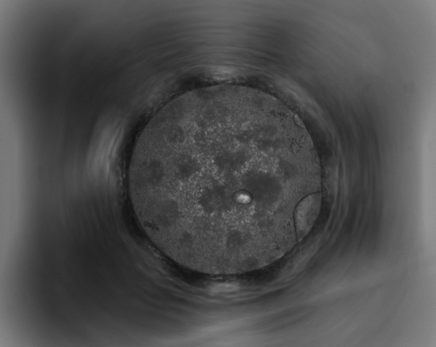 X0000094460653200711081326