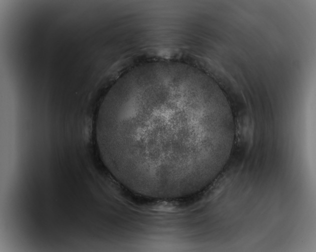 X0000094460656200711081326
