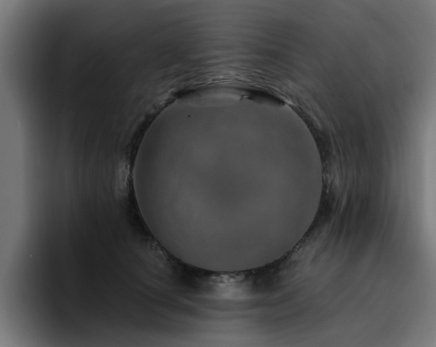 X0000094460660200711081326