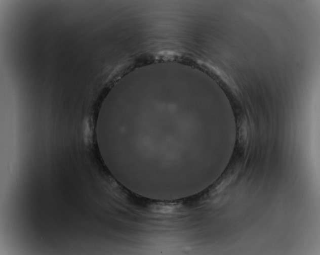 X0000094460661200711081326