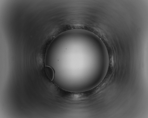 X0000094460662200711081326