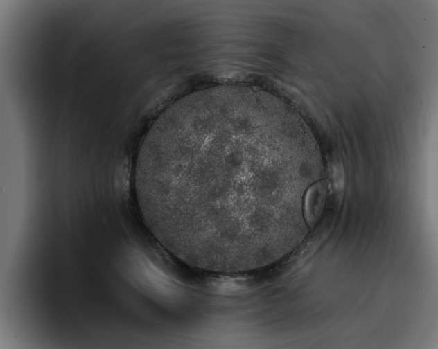 X0000094460664200711081326