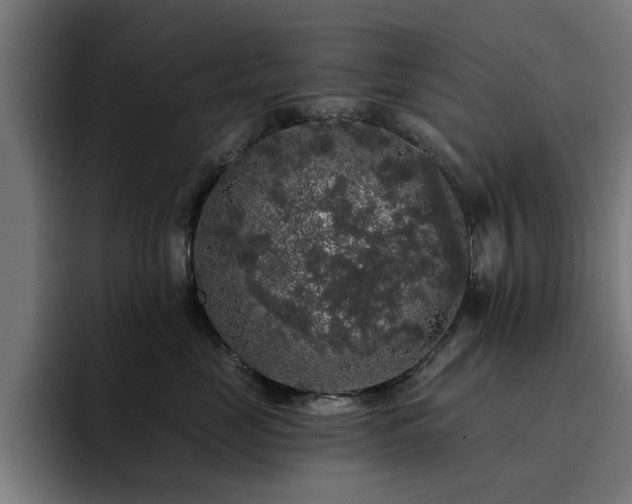 X0000094460669200711081326
