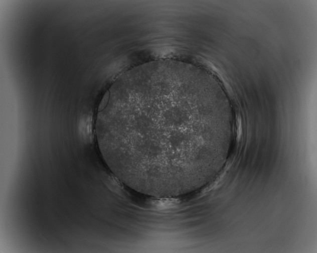 X0000094460670200711081326