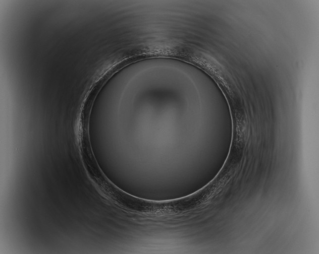 X0000094460674200711081326