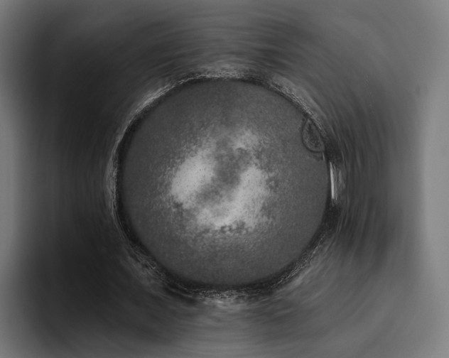 X0000094460675200711081326
