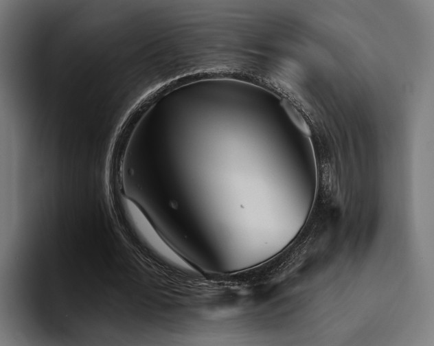 X0000094460676200711081326